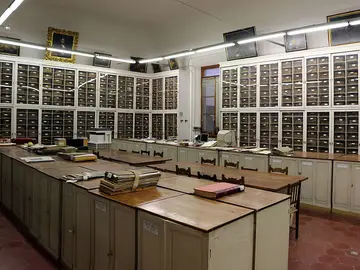 Museo di Storia Naturale dell'Università di Firenze - Botanica