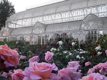 giardino di orticultura- tepidarium