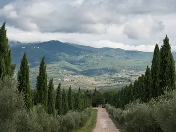  Paesaggio Grande Firenze