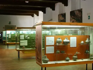 Museo e Istituto Fiorentino di Preistoria