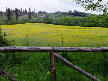 Parco di Mondeggi