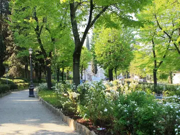 Viale dei Colli