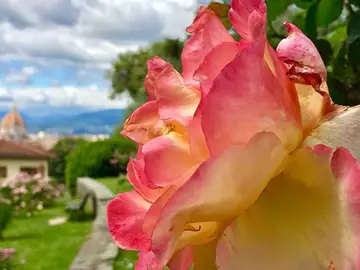 giardino delle rose