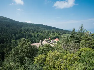 Riserva Naturale Biogenetica di Vallombrosa
