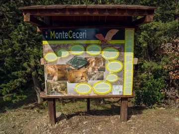 Montececeri
