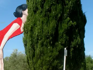Parco d'Arte nel Chianti