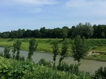 PARC