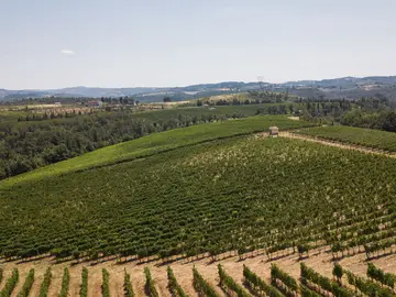 Le colline di Lastra a Signa