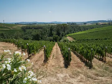 Da Malmantile alla Val di Pesa