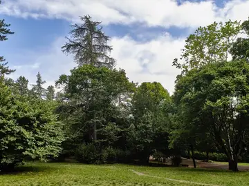 Parco di Villa Strozzi al Boschetto
