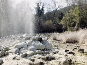 Particolare Geiser Bollori