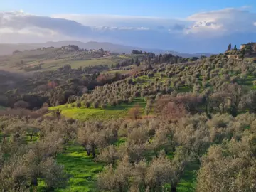 Impruneta veduta della campagna 