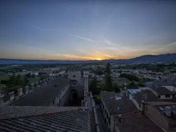 Merli del Palazzo dei Vicari