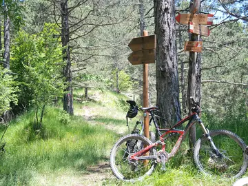 MTB trek