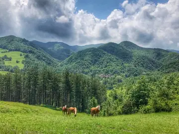 paesaggio appenninico