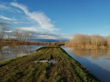 Padule di Fucecchio