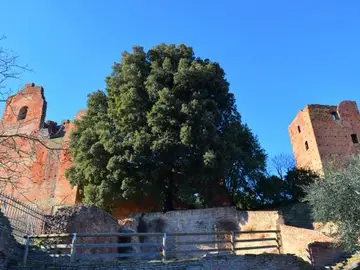 Parco Corsini