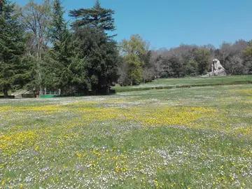 Parco Mediceo di Pratolino