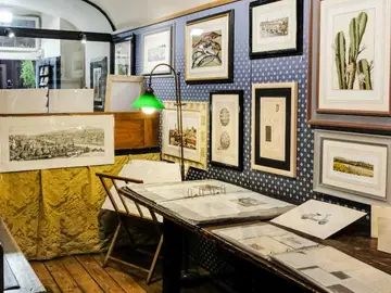 L'Ippogrifo Stampe D'arte