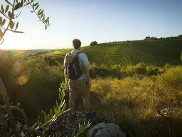 Trekking a Badia a Passignano - Foto Visit Chianti