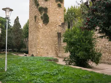 torrino di verzaia