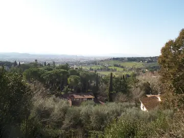 panorama