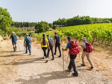Esperienze nel Chianti