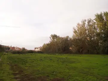 Terzo giardino
