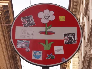l senso vietato rappresenta la striscia bianca da cui fa capolino un fiore