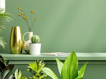 Firenze Green