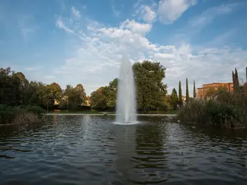 La vasca