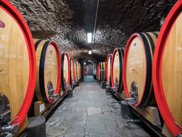 cantine