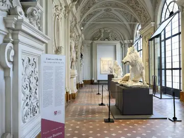 Foggini architetto e scultore