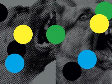 Mostra Rovai IED Firenze