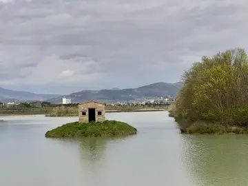 Stagni di Focognano