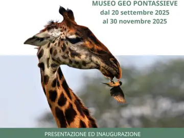 E fu sera e fu mattina