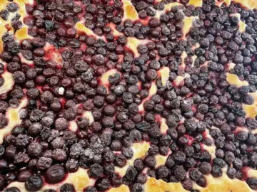 Schiacciata con l'uva