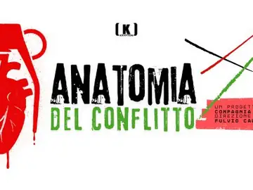 Anatomia del conflitto
