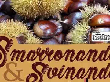 Smarronando e svinando