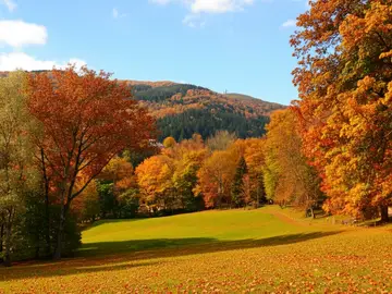 Il Pratone di Vallombrosa