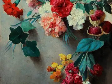 Con l'occhio del botanico