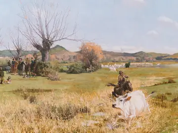 In Collezione, Fondazione CRF