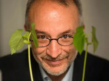 immagine di Stefano mancuso