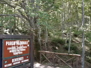 Parco Nazionale delle Foreste Casentinesi