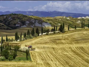 Maggio Metropolitano