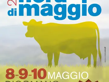 Fiera di maggio