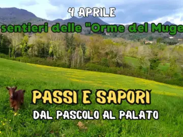 Passi e sapori