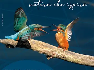 Arnovecchio natura che ispira