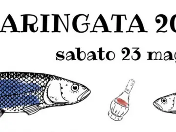 Aringata