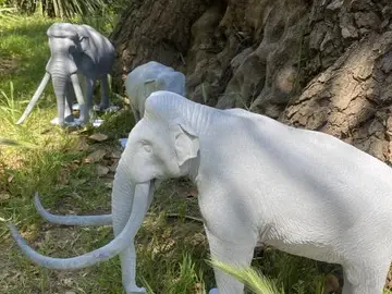 mammuth